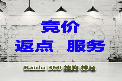 百度SEM推广策略：成功案例解析